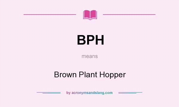 What does BPH mean? It stands for Brown Plant Hopper