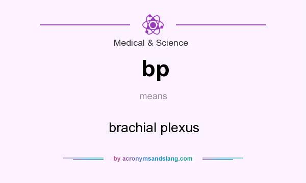 What does bp mean? It stands for brachial plexus