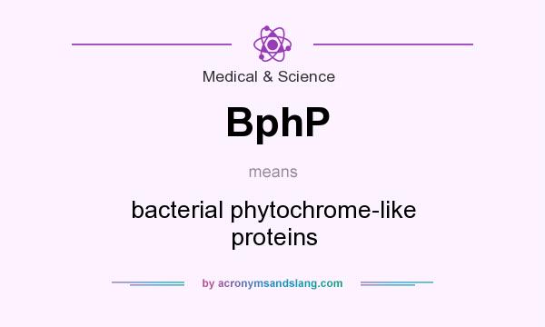 What does BphP mean? It stands for bacterial phytochrome-like proteins