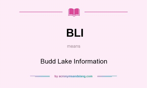 What does BLI mean? It stands for Budd Lake Information