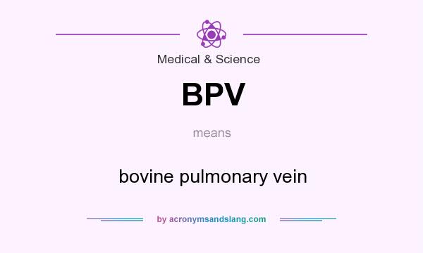 What does BPV mean? It stands for bovine pulmonary vein