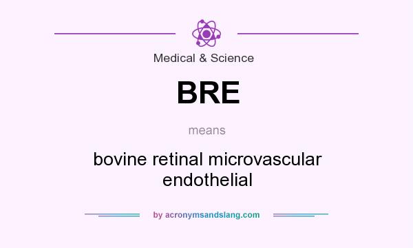 What does BRE mean? It stands for bovine retinal microvascular endothelial