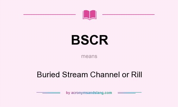 What does BSCR mean? It stands for Buried Stream Channel or Rill