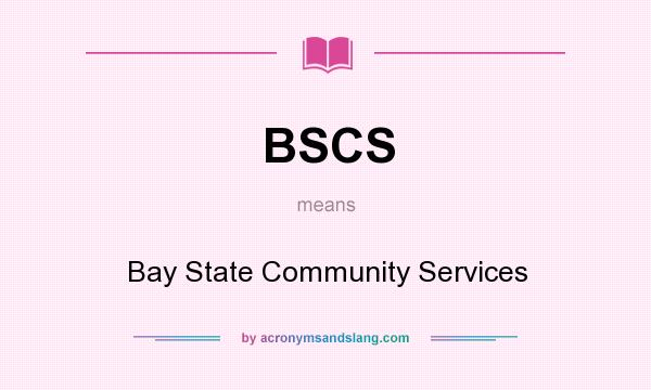 What does BSCS mean? It stands for Bay State Community Services