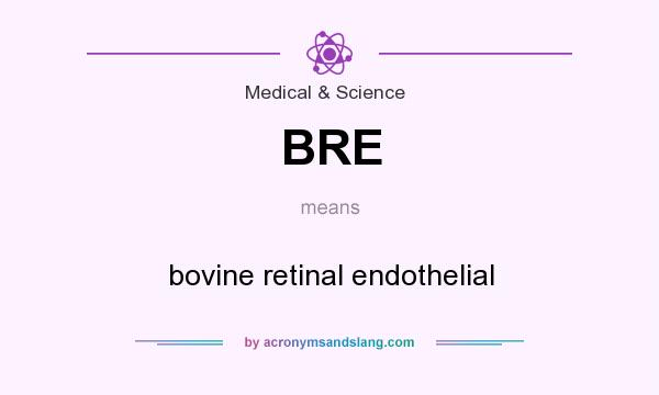What does BRE mean? It stands for bovine retinal endothelial