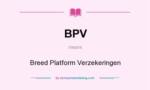What does BPV mean? It stands for Breed Platform Verzekeringen