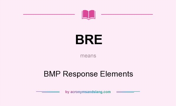 What does BRE mean? It stands for BMP Response Elements