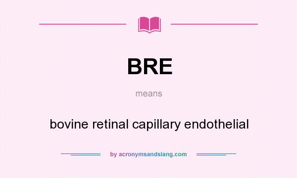 What does BRE mean? It stands for bovine retinal capillary endothelial