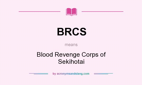 What does BRCS mean? It stands for Blood Revenge Corps of Sekihotai