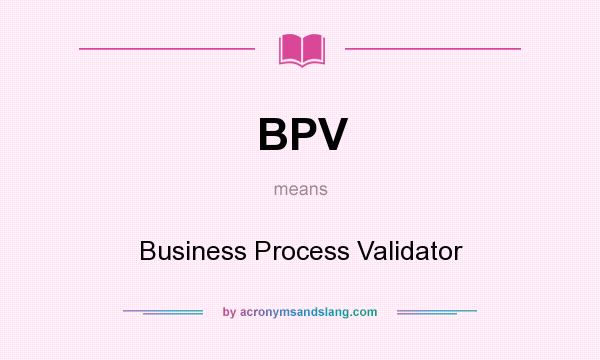 What does BPV mean? It stands for Business Process Validator
