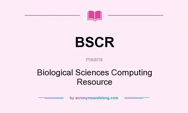 What does BSCR mean? It stands for Biological Sciences Computing Resource