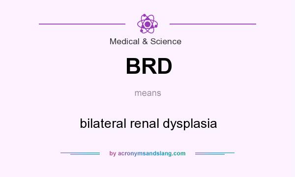 What does BRD mean? It stands for bilateral renal dysplasia