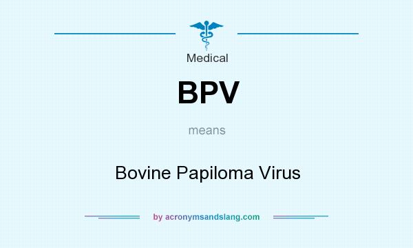 What does BPV mean? It stands for Bovine Papiloma Virus
