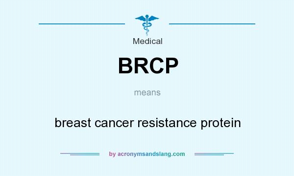 What does BRCP mean? It stands for breast cancer resistance protein