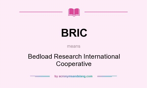 What does BRIC mean? It stands for Bedload Research International Cooperative
