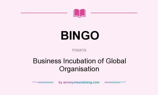 What does BINGO mean? It stands for Business Incubation of Global Organisation