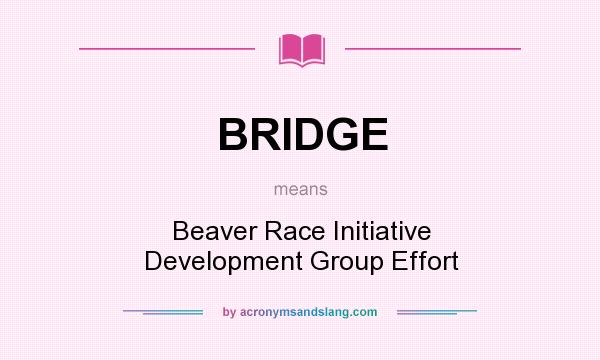 What does BRIDGE mean? It stands for Beaver Race Initiative Development Group Effort