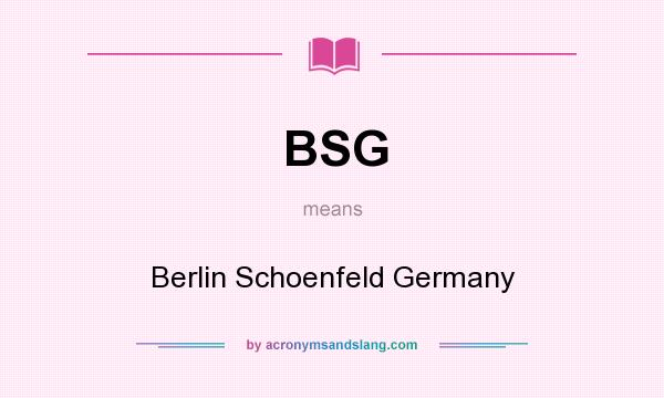 What does BSG mean? It stands for Berlin Schoenfeld Germany