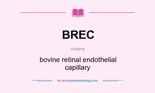 What does BREC mean? It stands for bovine retinal endothelial capillary