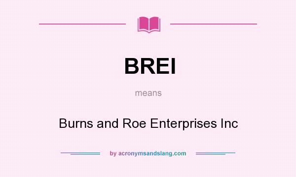 What does BREI mean? It stands for Burns and Roe Enterprises Inc