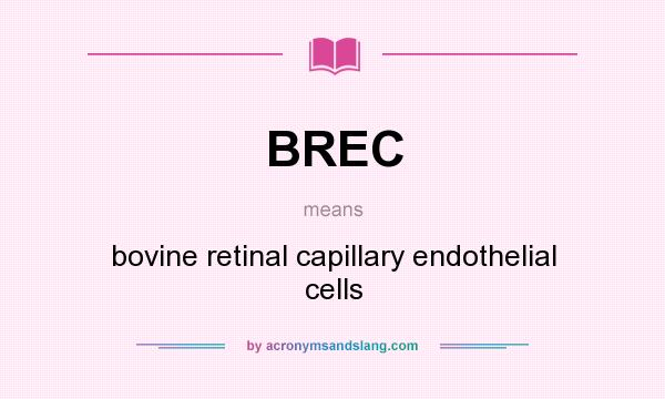 What does BREC mean? It stands for bovine retinal capillary endothelial cells