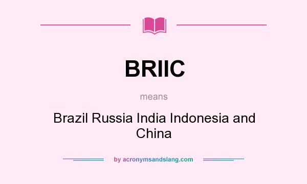 What does BRIIC mean? It stands for Brazil Russia India Indonesia and China