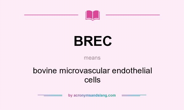 What does BREC mean? It stands for bovine microvascular endothelial cells