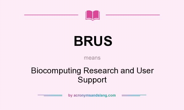 What does BRUS mean? It stands for Biocomputing Research and User Support