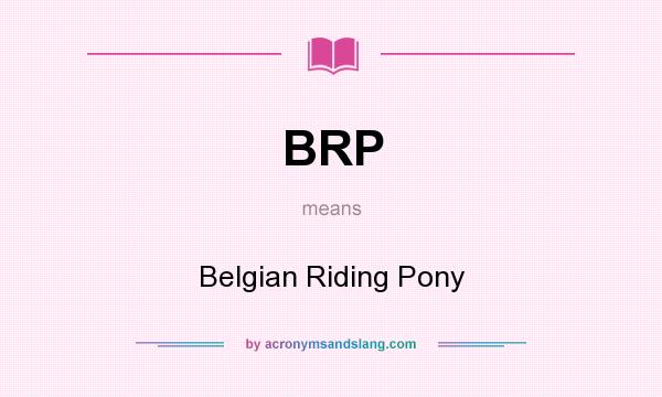 What does BRP mean? It stands for Belgian Riding Pony