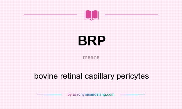 What does BRP mean? It stands for bovine retinal capillary pericytes
