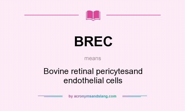 What does BREC mean? It stands for Bovine retinal pericytesand endothelial cells