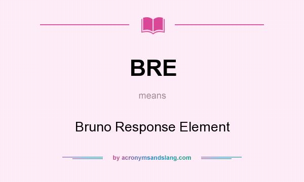 What does BRE mean? It stands for Bruno Response Element
