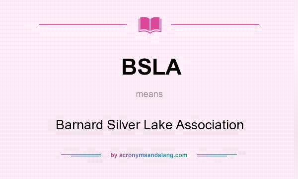 What does BSLA mean? It stands for Barnard Silver Lake Association
