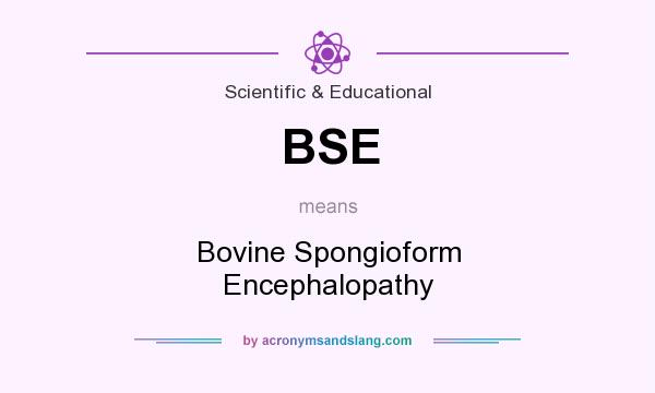 What does BSE mean? It stands for Bovine Spongioform Encephalopathy