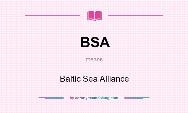 What does BSA mean? It stands for Baltic Sea Alliance