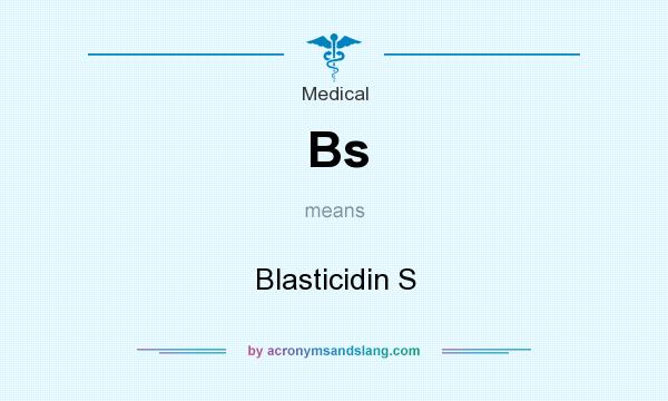 What does Bs mean? It stands for Blasticidin S