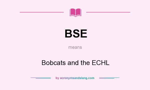 What does BSE mean? It stands for Bobcats and the ECHL