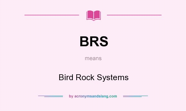 What does BRS mean? It stands for Bird Rock Systems