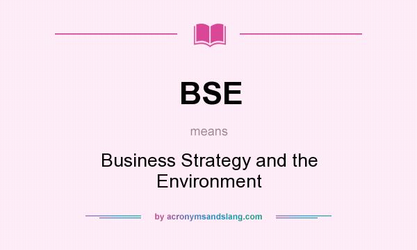 What does BSE mean? It stands for Business Strategy and the Environment