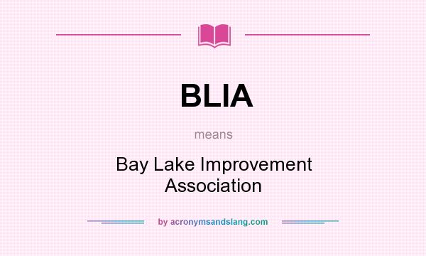 What does BLIA mean? It stands for Bay Lake Improvement Association