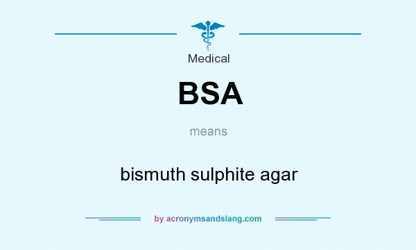 What does BSA mean? It stands for bismuth sulphite agar