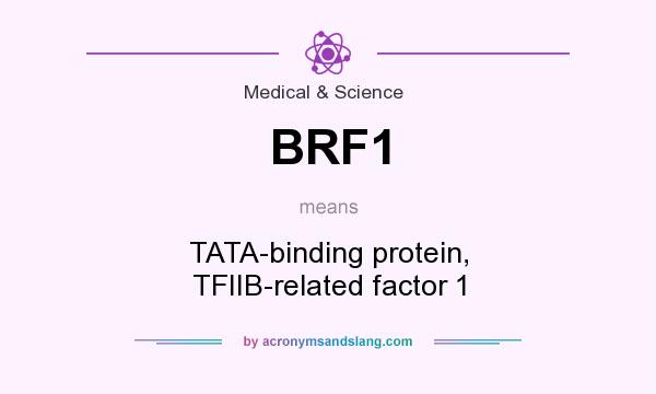 What does BRF1 mean? It stands for TATA-binding protein, TFIIB-related factor 1