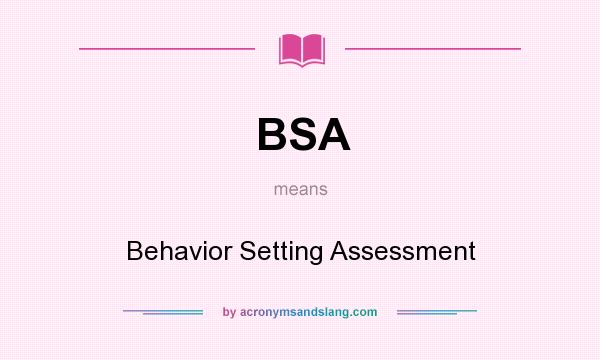 What does BSA mean? It stands for Behavior Setting Assessment