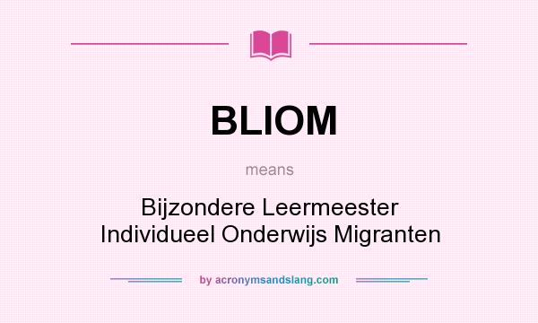 What does BLIOM mean? It stands for Bijzondere Leermeester Individueel Onderwijs Migranten