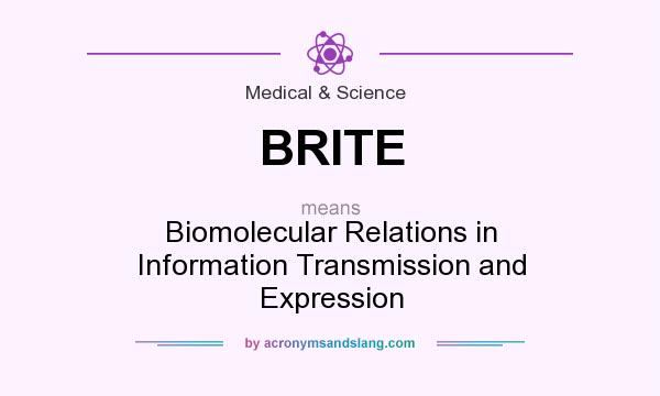 What does BRITE mean? It stands for Biomolecular Relations in Information Transmission and Expression