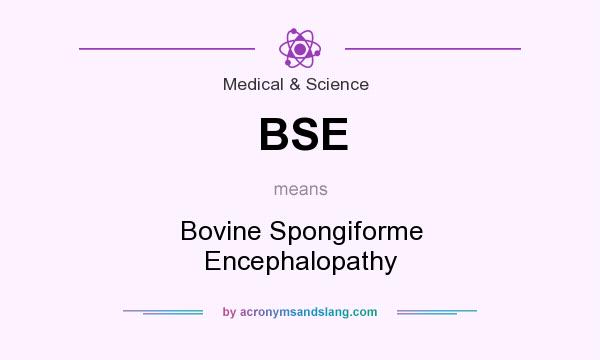 What does BSE mean? It stands for Bovine Spongiforme Encephalopathy