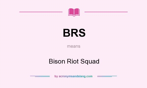 What does BRS mean? It stands for Bison Riot Squad