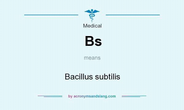 What does Bs mean? It stands for Bacillus subtilis