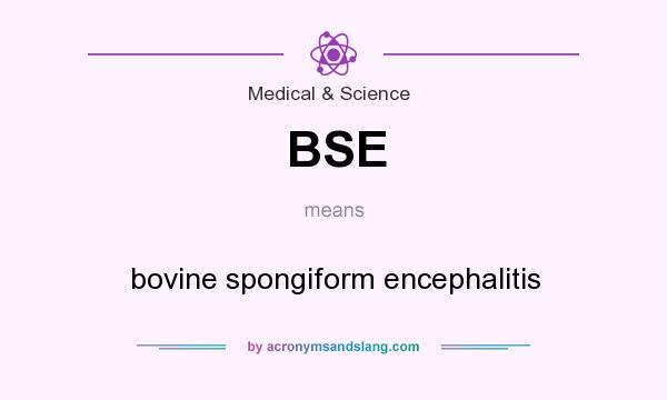 What does BSE mean? It stands for bovine spongiform encephalitis