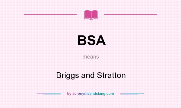 What does BSA mean? It stands for Briggs and Stratton